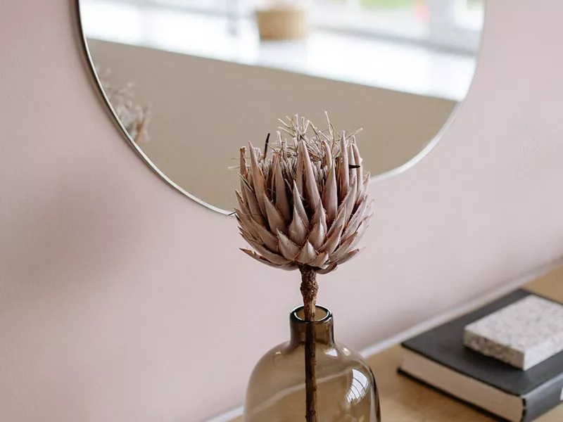A spiked plant in a vase